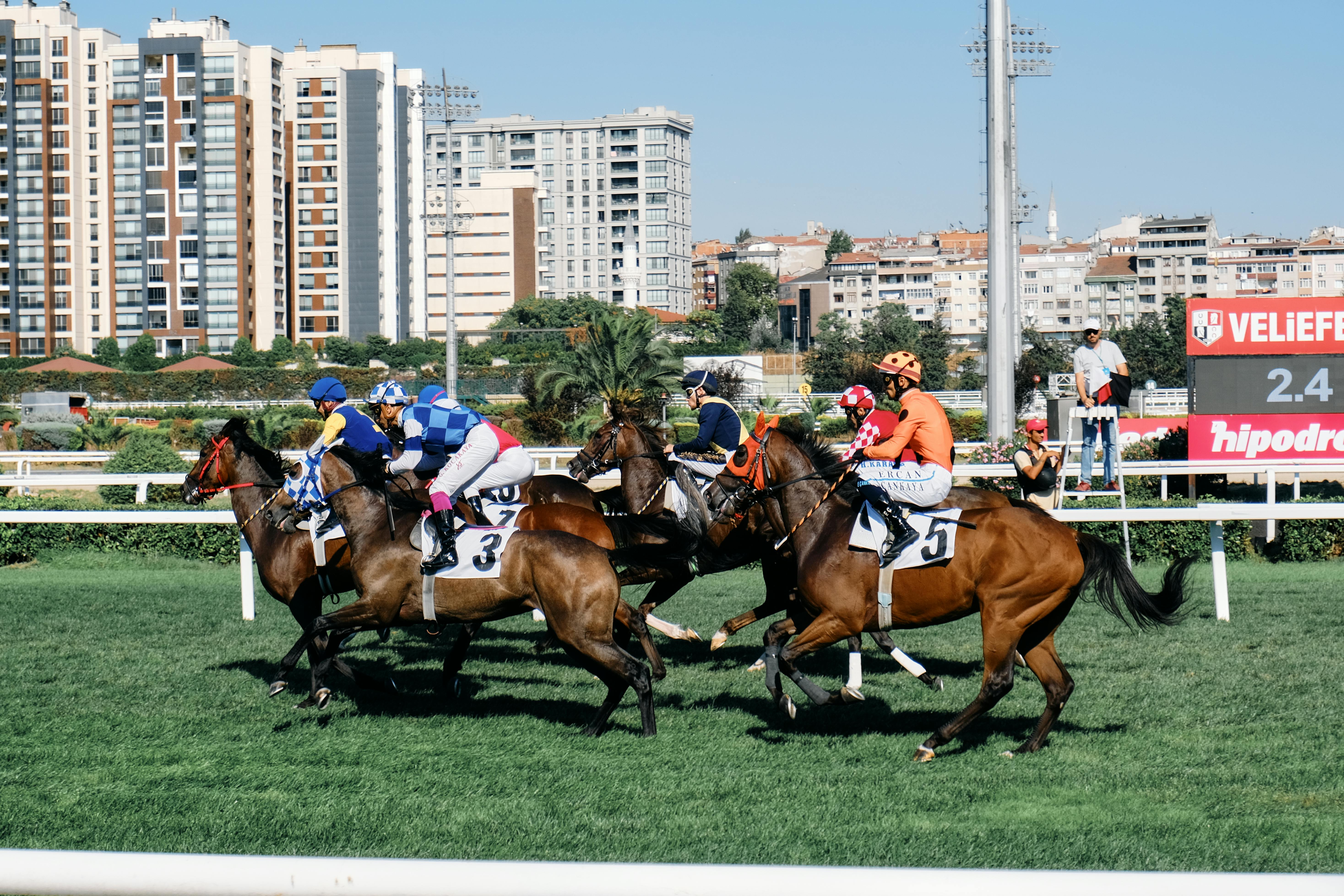 Horse racing action with jockeys competing on the track